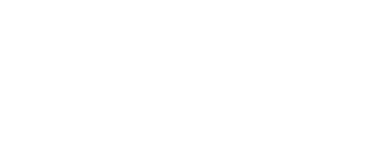 Navius Research Logo